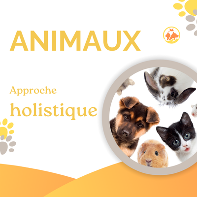 Thérapeute holistique pratiquant la chromothérapie et le nettoyage énergétique sur photo pour animaux.